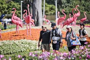 BIB: 
                            <button type="button" onclick="openModal(27793658)" class="btn btn-primary btn-sm float-right btn-popup" data-toggle="modal" data-target=".modal-high-quality">
                        <i class="fas fa-shopping-cart"></i> Add to Cart
                    </button>
                                            <button type="button" onclick="isThisMe(27793658, true)" class="btn btn-success btn-sm float-right btn-popup btn-isme hidden" data-toggle="tooltip" data-placement="bottom" title="นี่คือรูปของคุณใช่ไหม คลิกที่นี่เพื่อเอาเข้าอัลบั้ม">
                        <i class="fas fa-plus"></i> Add to album
                    </button>
                    <button type="button" onclick="isThisMe(27793658, false)" class="btn btn-warning btn-sm float-right btn-popup btn-isnotme hidden">
                        <i class="fas fa-ban"></i> Remove from album
                    </button>